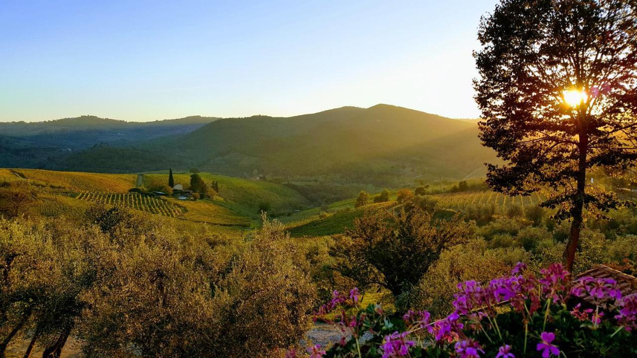 Terre di Melazzano - Le Case di Chiara Greve in Chianti Esterno foto