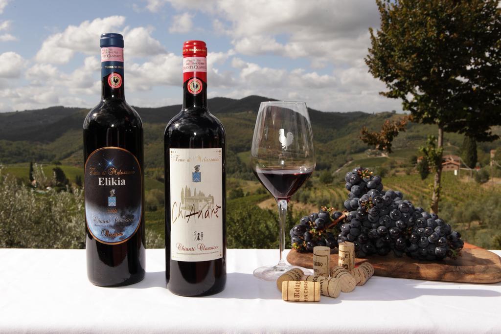 Terre di Melazzano - Le Case di Chiara Greve in Chianti Esterno foto