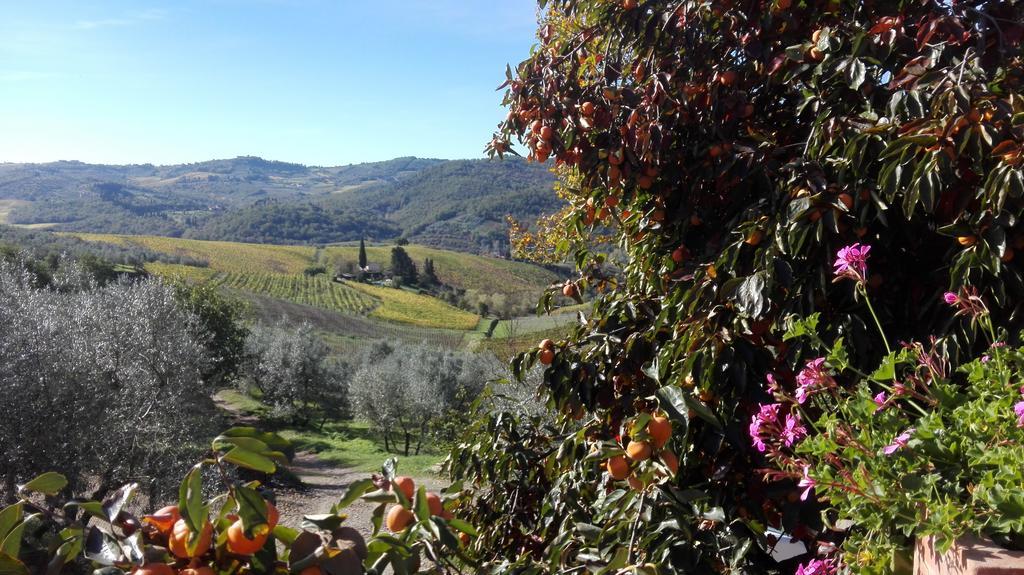 Terre di Melazzano - Le Case di Chiara Greve in Chianti Esterno foto