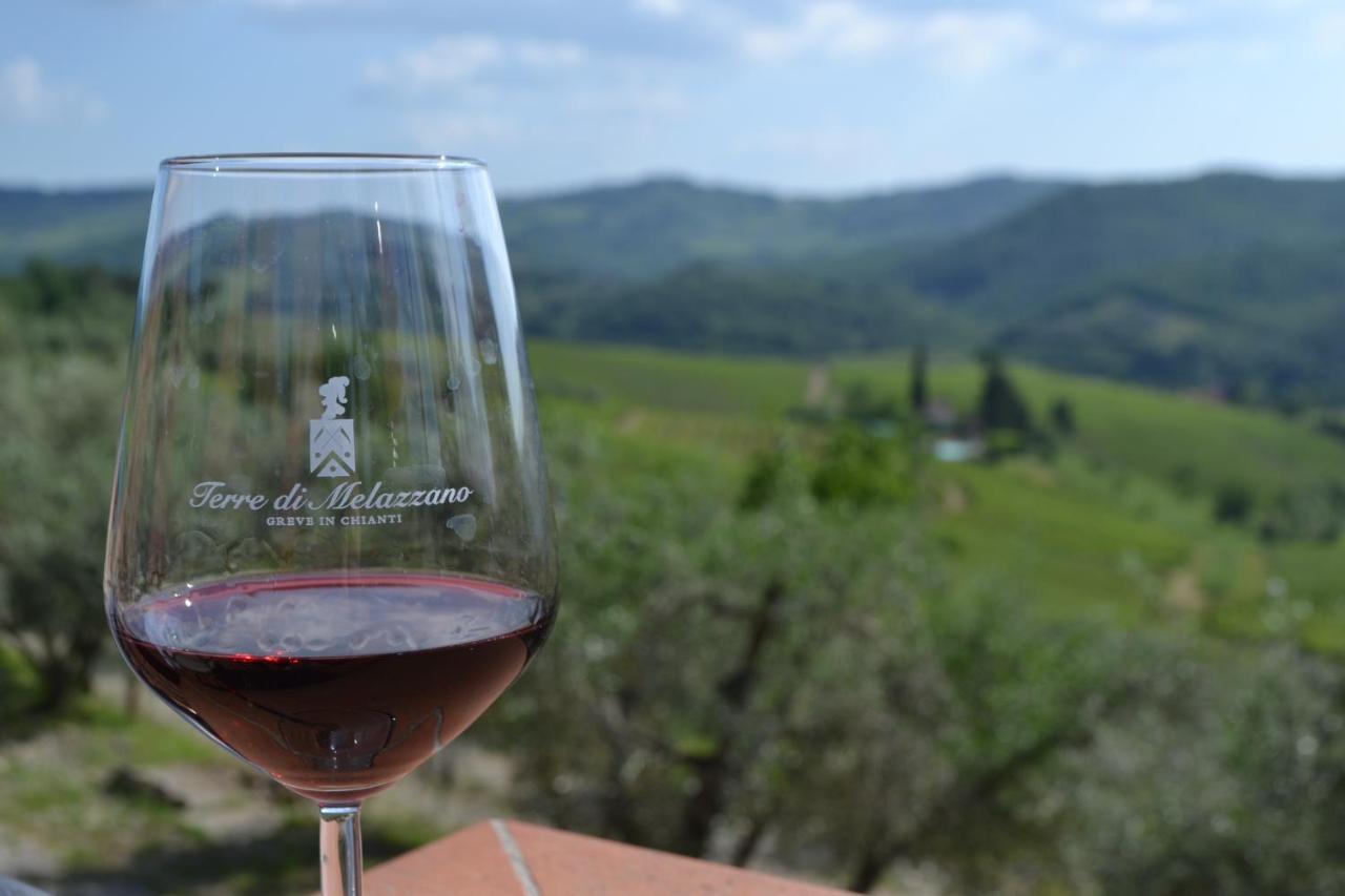 Terre di Melazzano - Le Case di Chiara Greve in Chianti Esterno foto