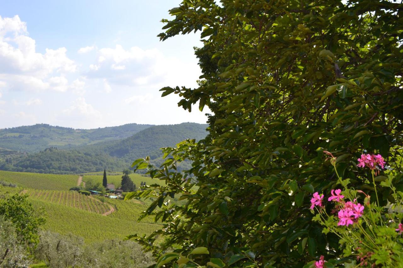 Terre di Melazzano - Le Case di Chiara Greve in Chianti Esterno foto